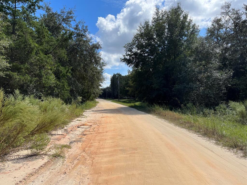 BIG TREE LAKES SEC B - Land