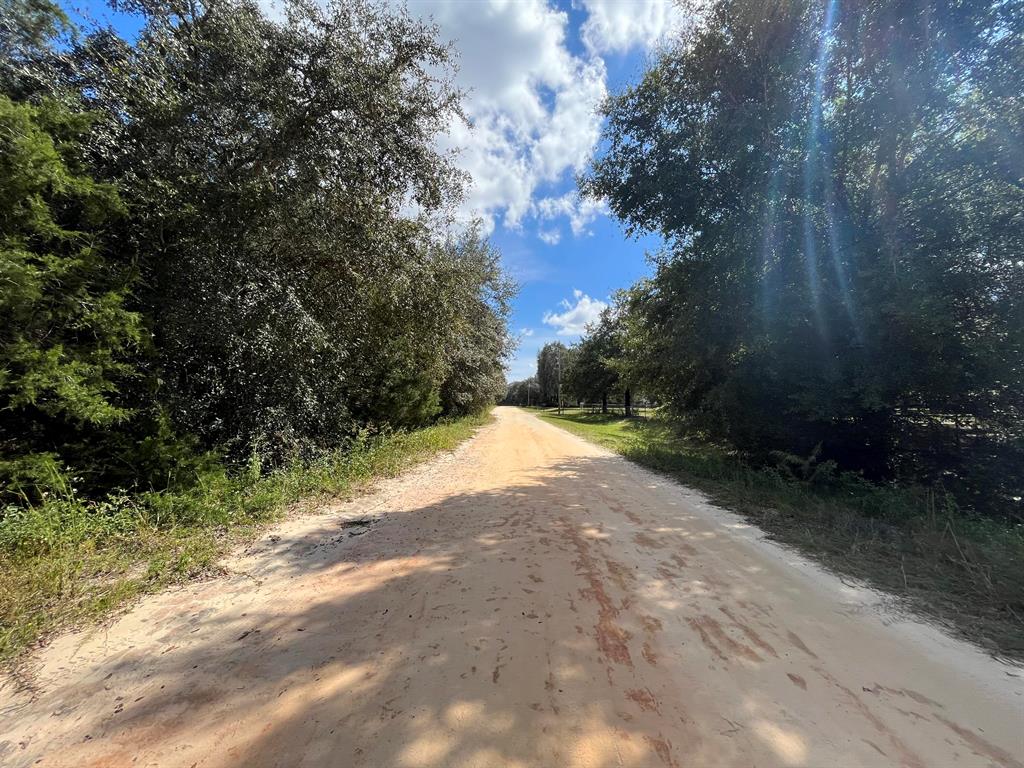 BIG TREE LAKES SEC B - Land