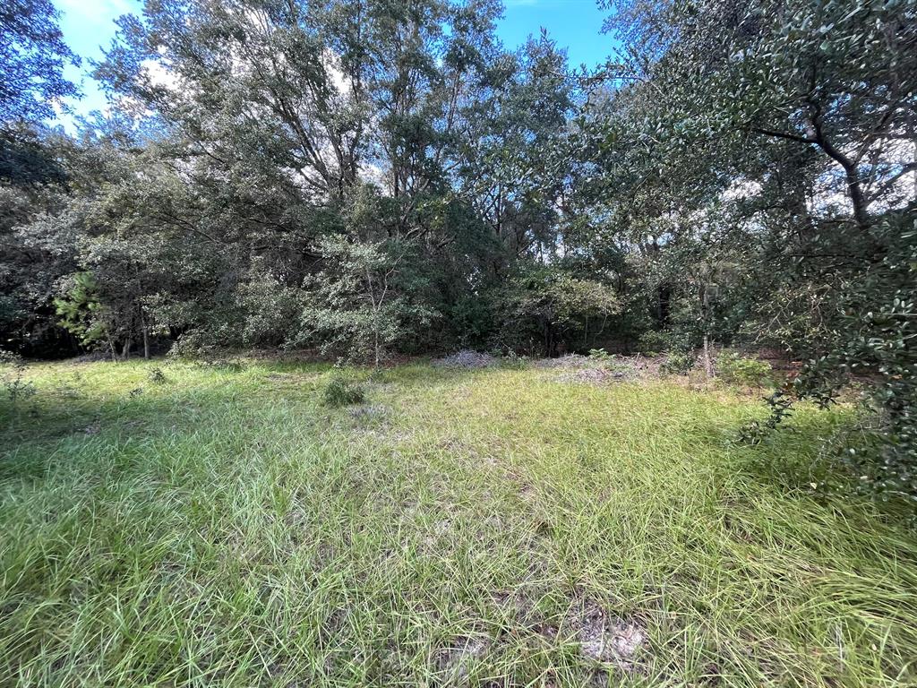 BIG TREE LAKES SEC B - Land