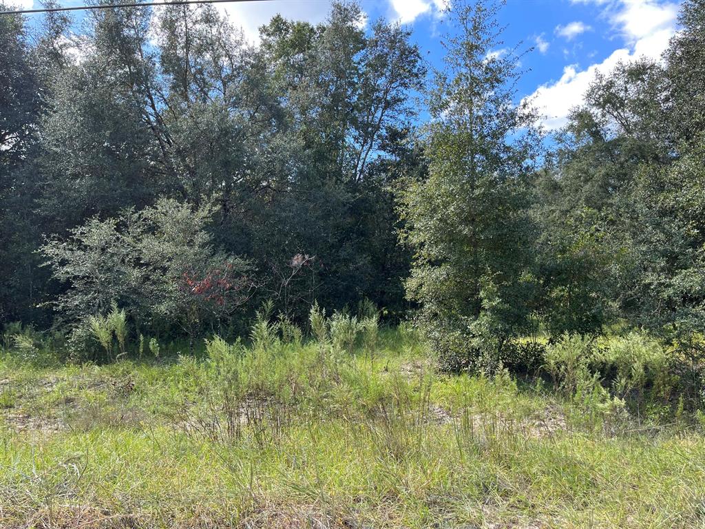 BIG TREE LAKES SEC B - Land