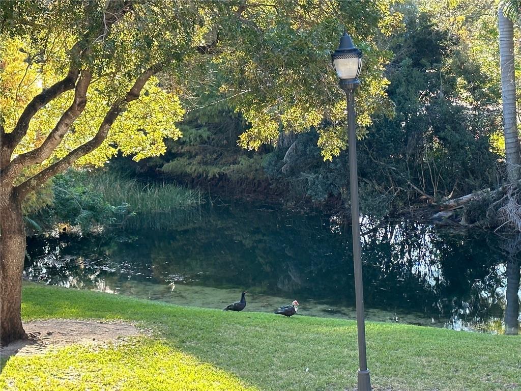 Renaissance Commons - Residential