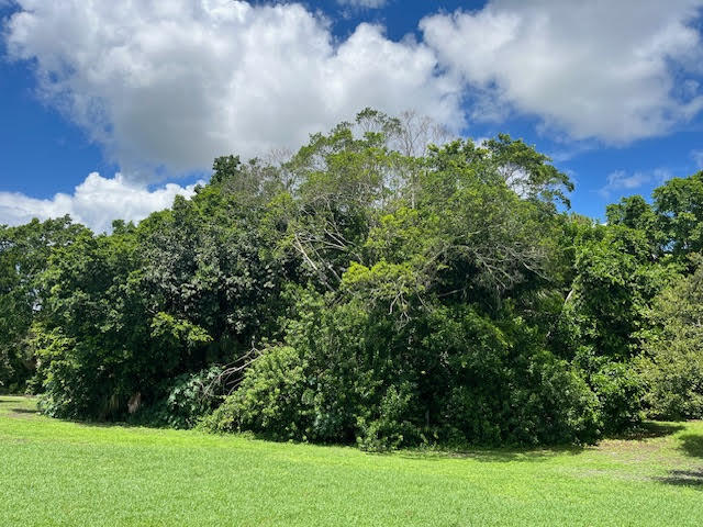 Jupiter Farms - Land