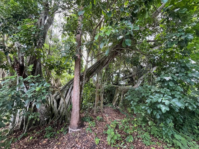 Jupiter Farms - Land