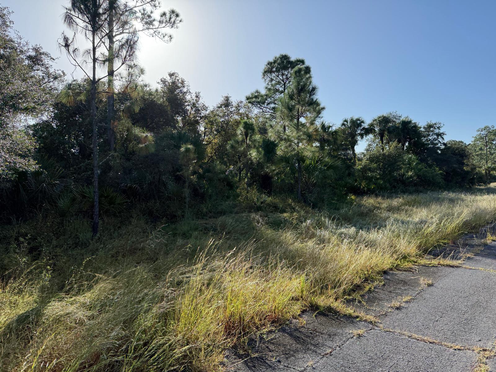 **Amazing Opportunity! Build Your Dream Home or Invest in the Future** Perfect for your next project with this **0.24-acres lot**, offering endless possibilities. Whether you're looking to build your dream home or seeking an excellent investment opportunity, this property has it all. Nestled in a desirable location, the lot provides ample space while maintaining proximity to local amenities, schools, shopping's and parks. It's ready for you to bring your vision to life. Don’t miss out on this prime piece of real estate – the opportunity to own your slice of land awaits! OWNER FINANCING AVAILABLE