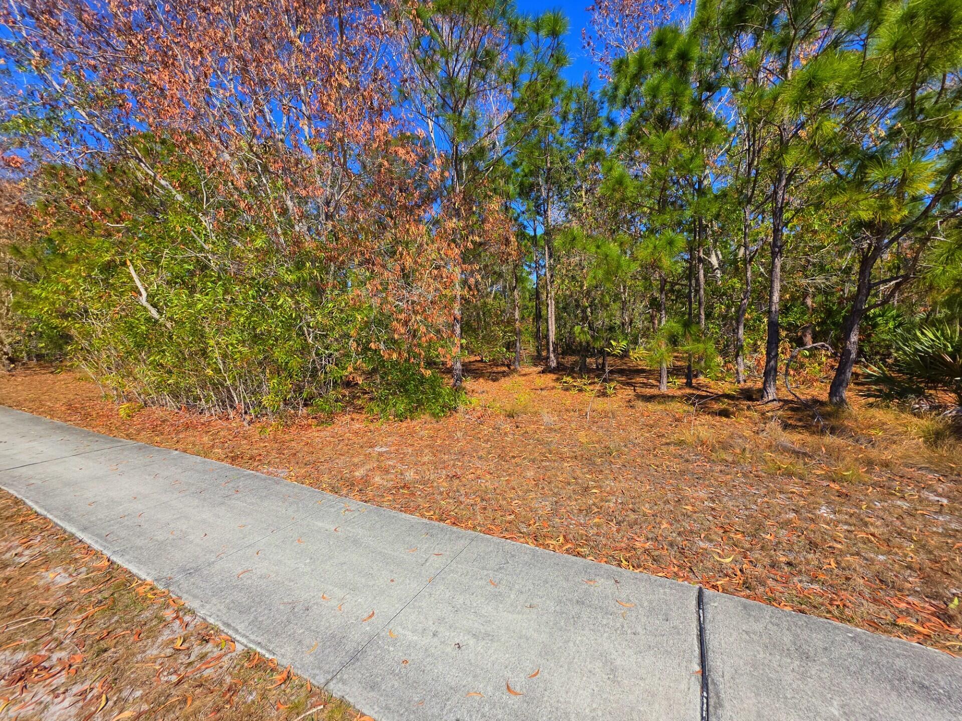 METES AND BOUNDS - Land