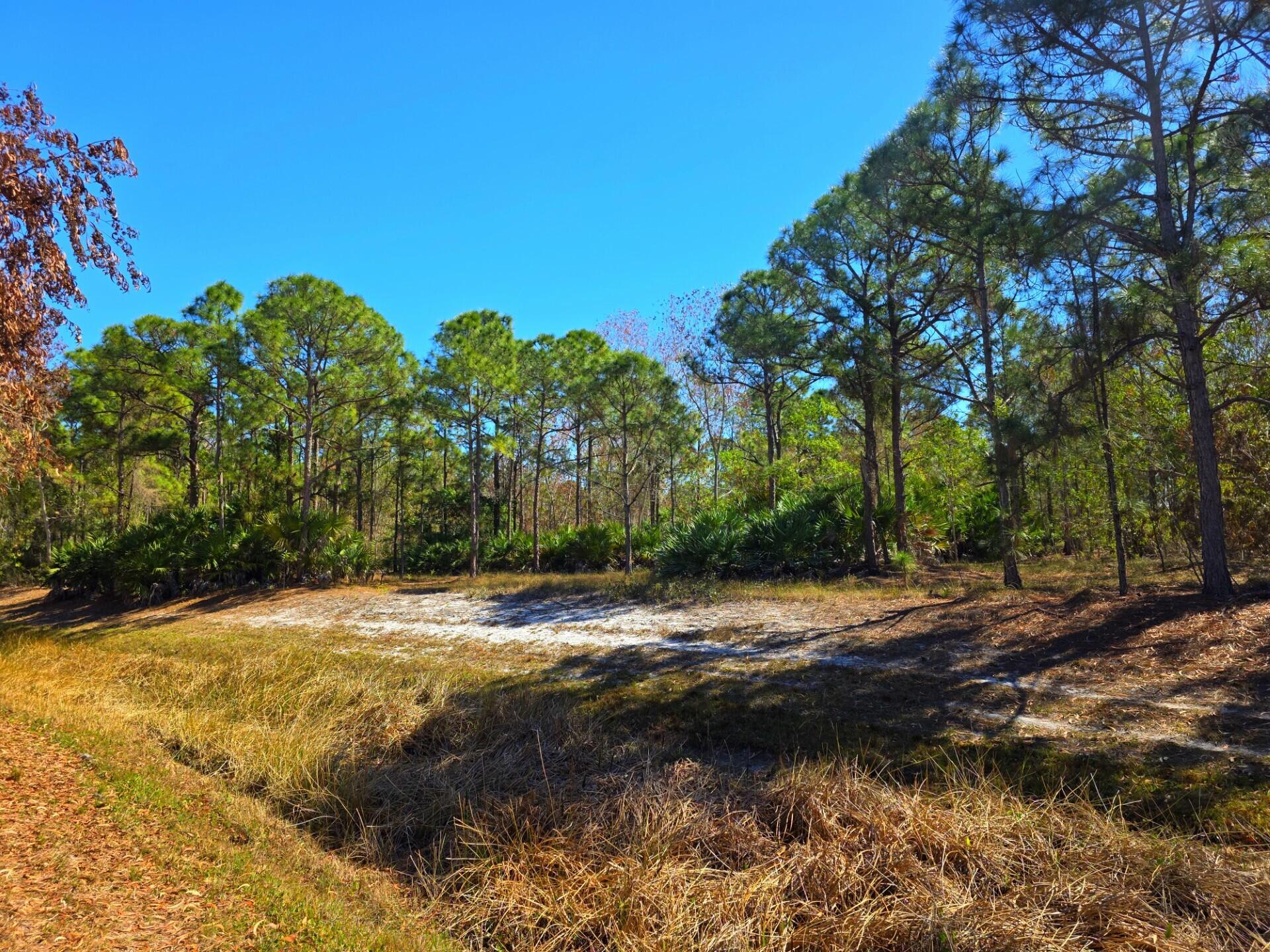 METES AND BOUNDS - Land