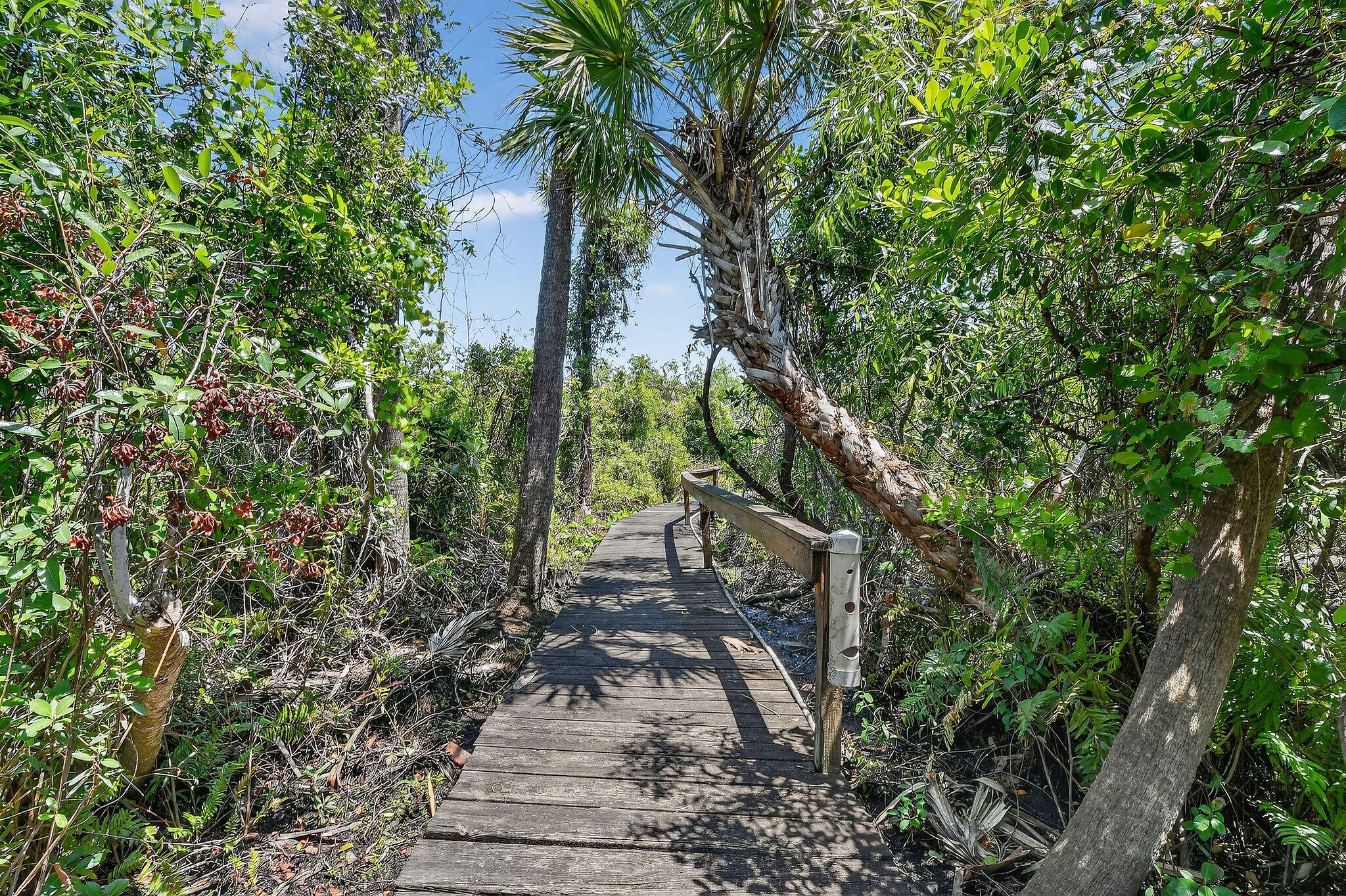 RIVER PINES - Residential