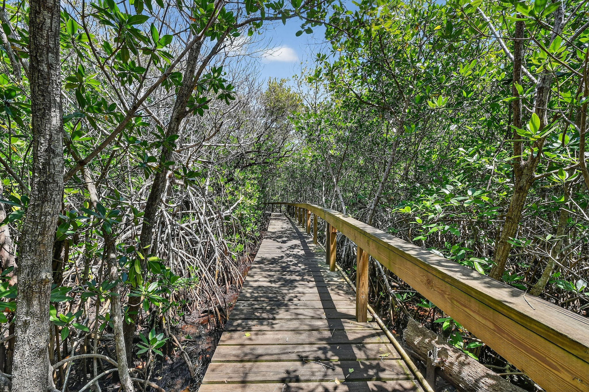 RIVER PINES - Residential