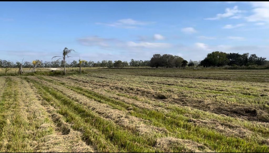 Photo of 1503 S Header Canal Road, Fort Pierce, FL 34945 (MLS # R11110356)