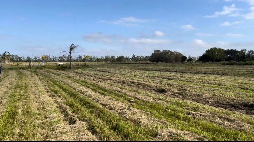 Photo of 1503 S Header Canal Road, Fort Pierce, FL 34945 (MLS # R11110356)