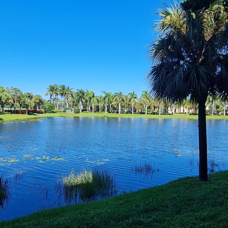 FULLY FURNISHED GROUND FLOOR CORNER UNIT AVAILABLE 10/16/25/Spacious 1 BDR unit SLEEPS 4 with leather Queen size sofa bed in the living room.
GRANITE COUNTERTOPS/VINYL & CERAMIC FLOORS, BEAUTIFUL LAKE VIEWS. Clubhouse, pool, gym, tennis, amenities, QUIET, BRAND-NEW STAINLESS-STEEL APPLIANCES AND WASHER & DRYER IN THE UNIT. The kitchen's white cabinetry is set-off by the upgraded granite countertops, backsplash and breakfast bar. Plantation shutters, patio sliders, patio. Spacious Model 1st floor unit with Southern view over the waterway in Calabria Turnkey Furnished. This floor plan is prized and is square footage nearly of many 2Br units. Fully furnished! Bring your toothbrush. Minimum 181 day rental preferred. Great Location Next To Pool, Gym, tennis, 4 pickleball courts and Clubhouse.