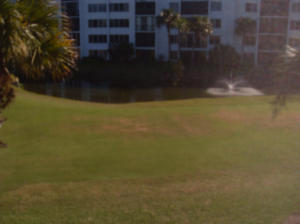 Ocean Village - Residential