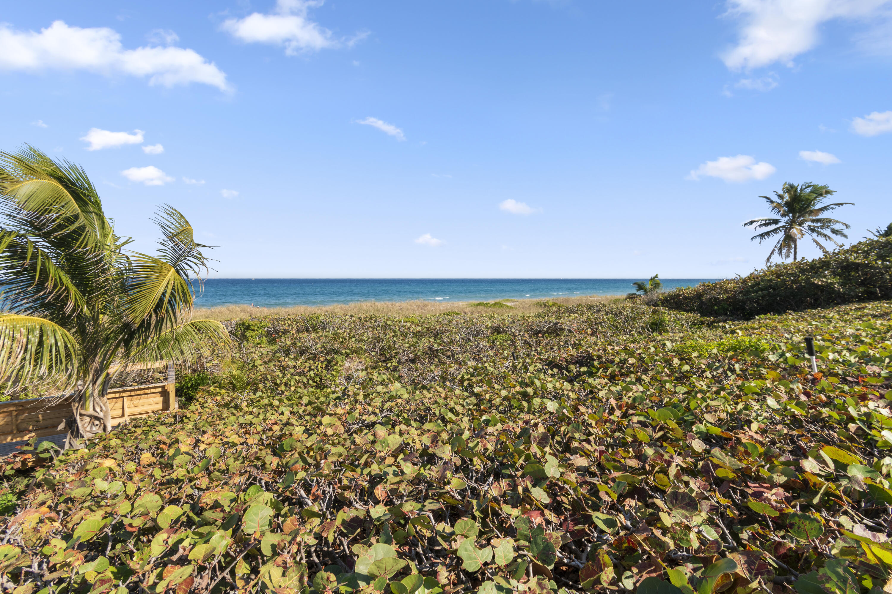 SAN REMO CONDO - Residential