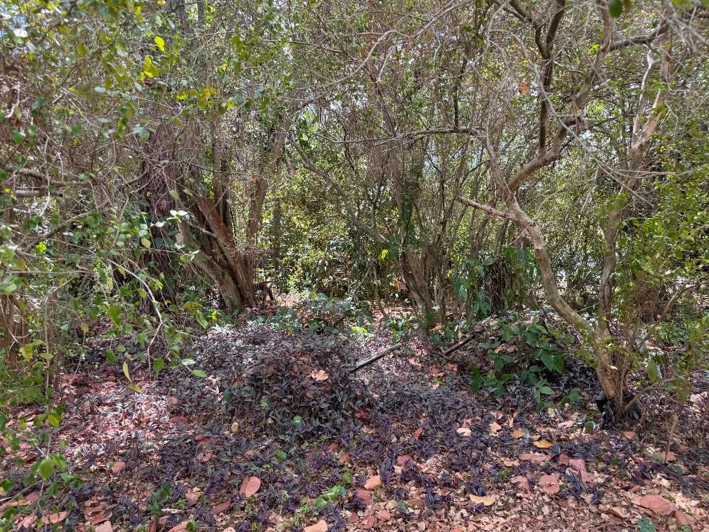 Photo of 3358 S Jog Road, Greenacres, FL 33467 (MLS # R11149487)