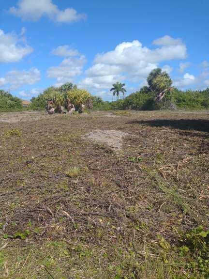 Discover the prime location to build your dream home on this oversized clear high and dry lot in the sought-after neighborhood of South Gulf Cove. Freshly bush hogged. With new homes already emerging in the area, it's the perfect time to start building yours, whether now or in the future. Public water, sewage, and electricity are readily available. This is a fantastic investment opportunity, attractively priced to sell. Experience all that the Southwest Florida lifestyle has to offer!