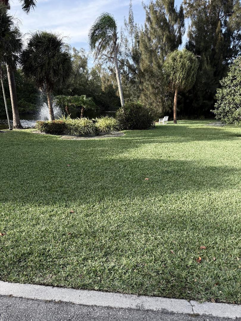 CLIFF LAKE VILLAS CO-OP - Residential