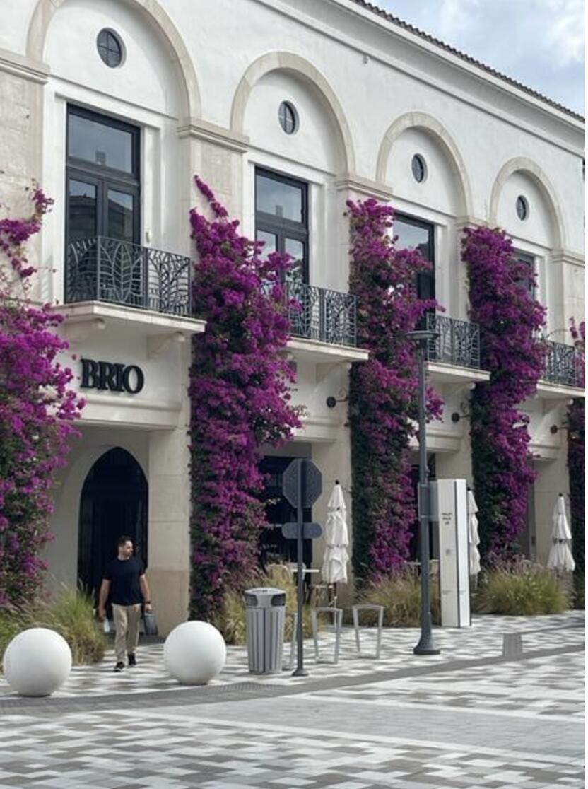 WHITEHALL CONDO OF THE LANDS OF THE PRESIDENT - Residential