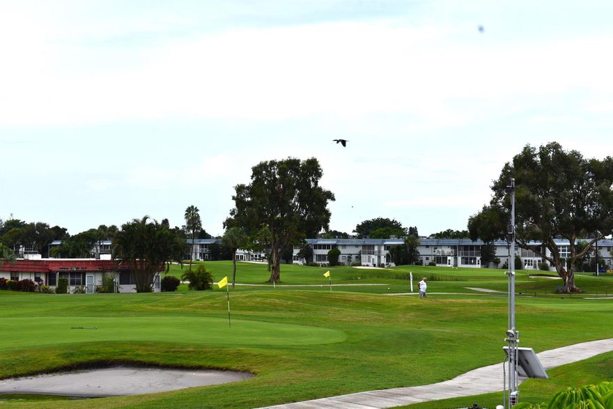 RARE, one-of-a-kind w/ upgrades & GOLF COURSE VIEWS, 2-bed/2-bath condo in highly sought-after 55+ community! Enjoy breathtaking golf course views from your living room, kitchen & dining room IMPACT WINDOWS & watch the action unfold on the fairways, greens, & tee boxes right outside your unit. This vibrant, amenity-rich neighborhood offers everything you could want: 5 sparkling pools, an impressive indoor pool & state-of-the-art fitness center, two onsite restaurants, barber & hair salon, & 1,283-seat theater hosting weekly shows & movies. Explore countless activities & clubs, enjoy daily classes, or just relax knowing there is 24/7 security, staffedgates, & private bus service with a shopping loop, shopping mall & Delray hospital routes. Resort-style living at its finest! MUST SEE