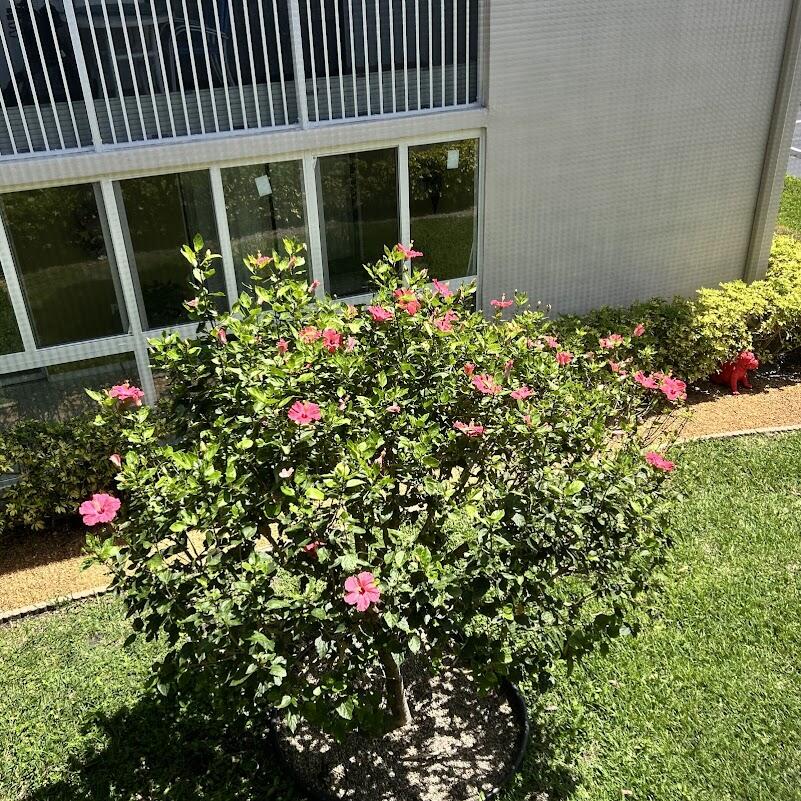 KINGS POINT PIEDMONT CONDOS - Residential