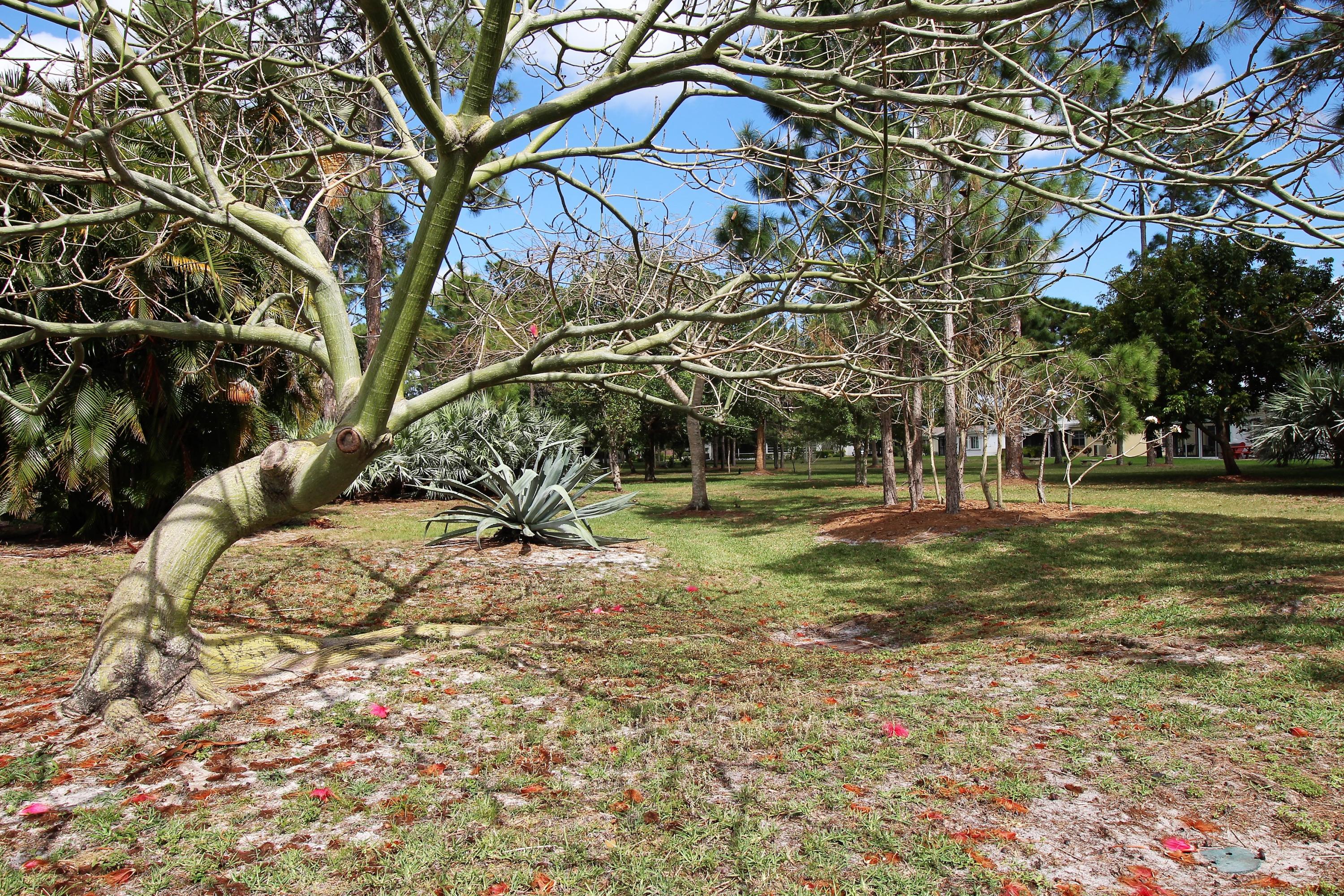 LUCERNE HOMES EAST 2 - Residential