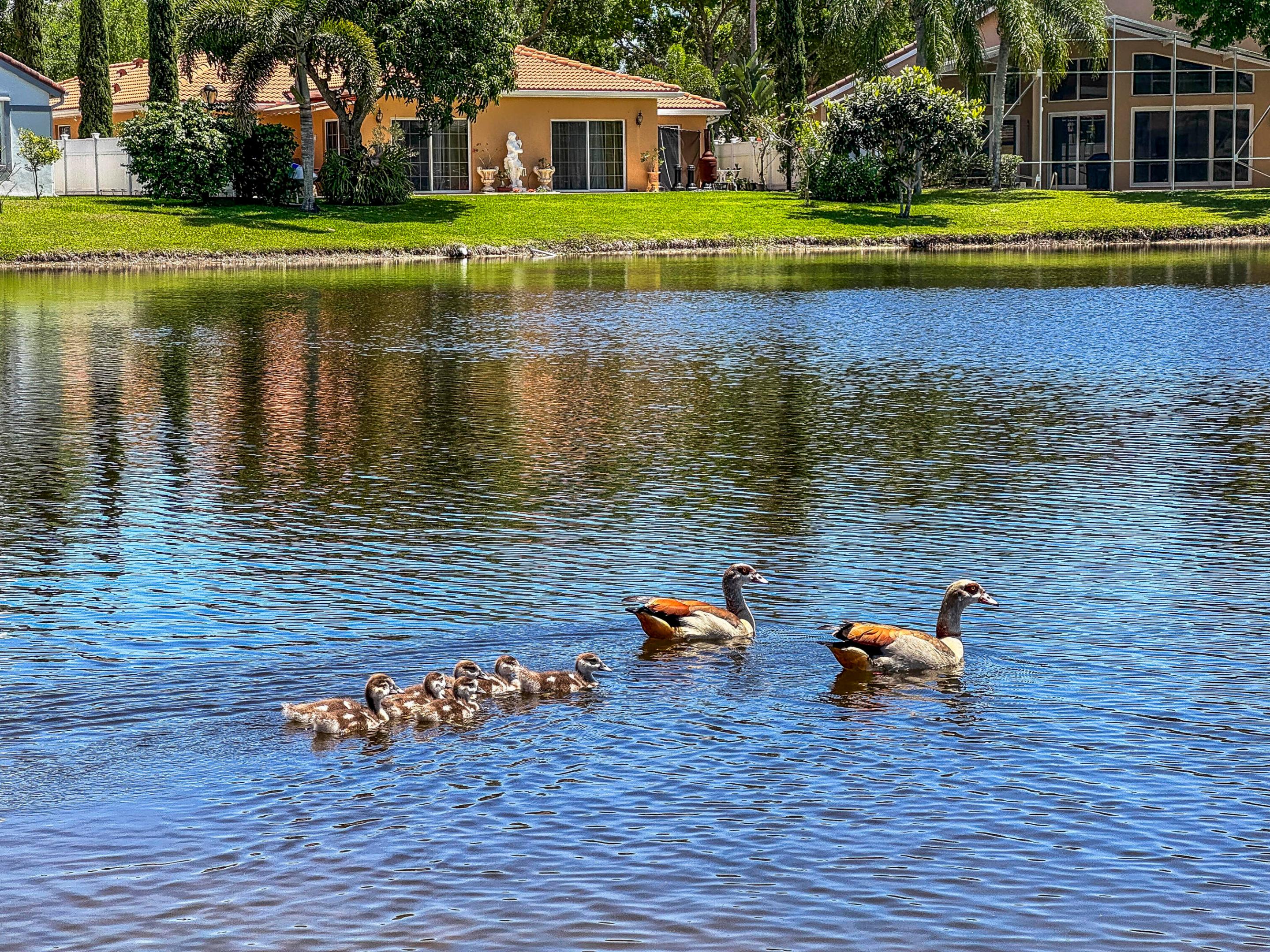 The Shores - Residential