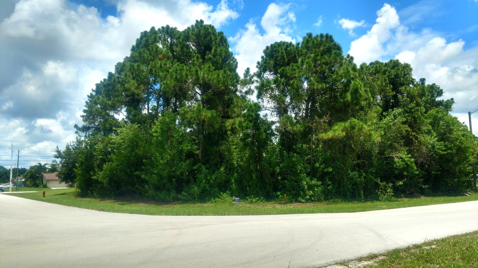 PORT ST LUCIE SECTION 33 - Land