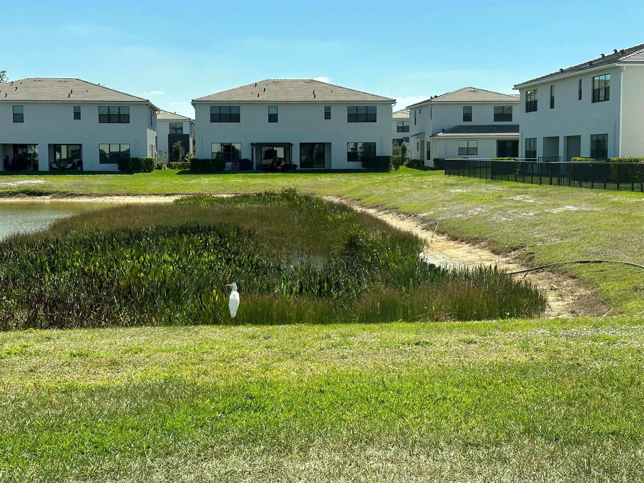 POLO LEGACY MXPD - Residential