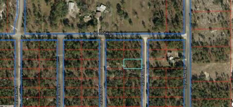 0 Se 136th Avenue Dunnellon FL 34431
