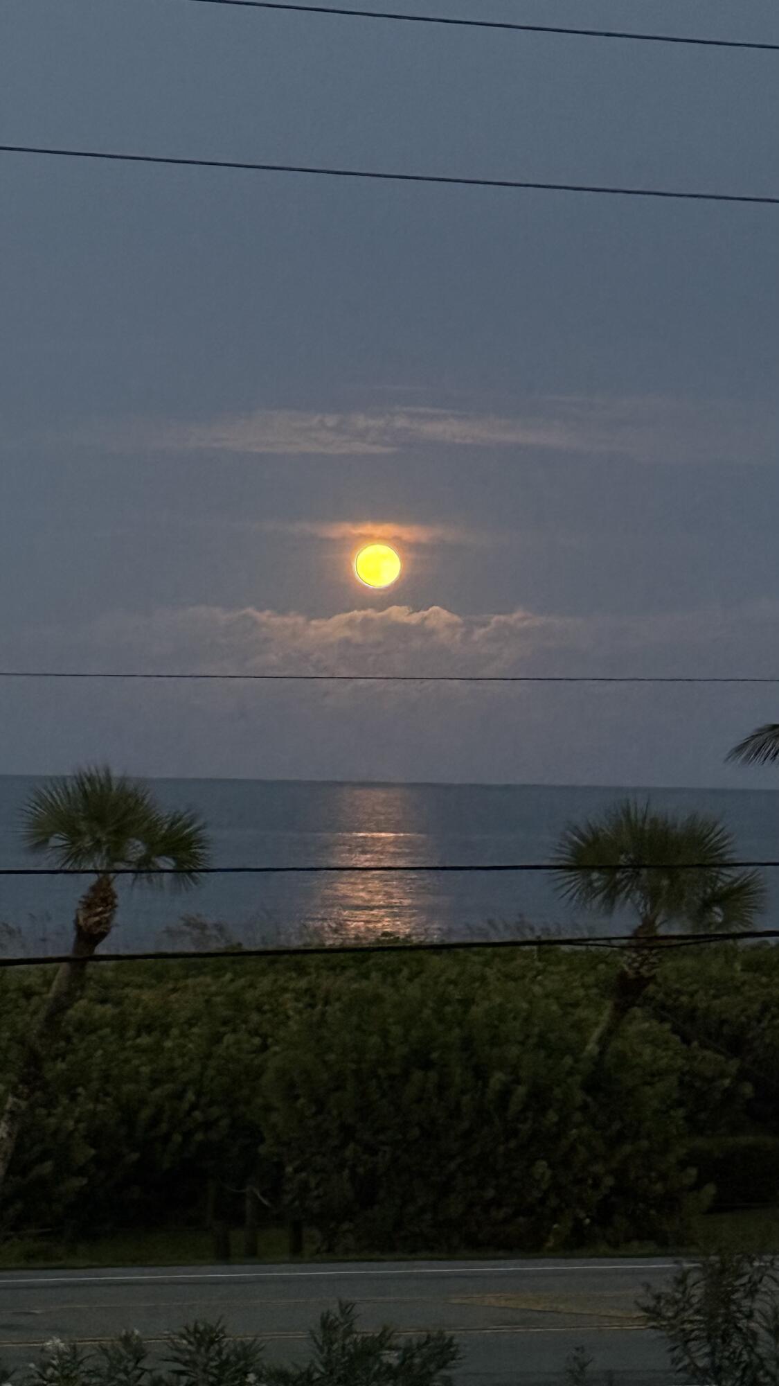 OCEAN HARBOUR CONDOMINIUM B - Residential Lease