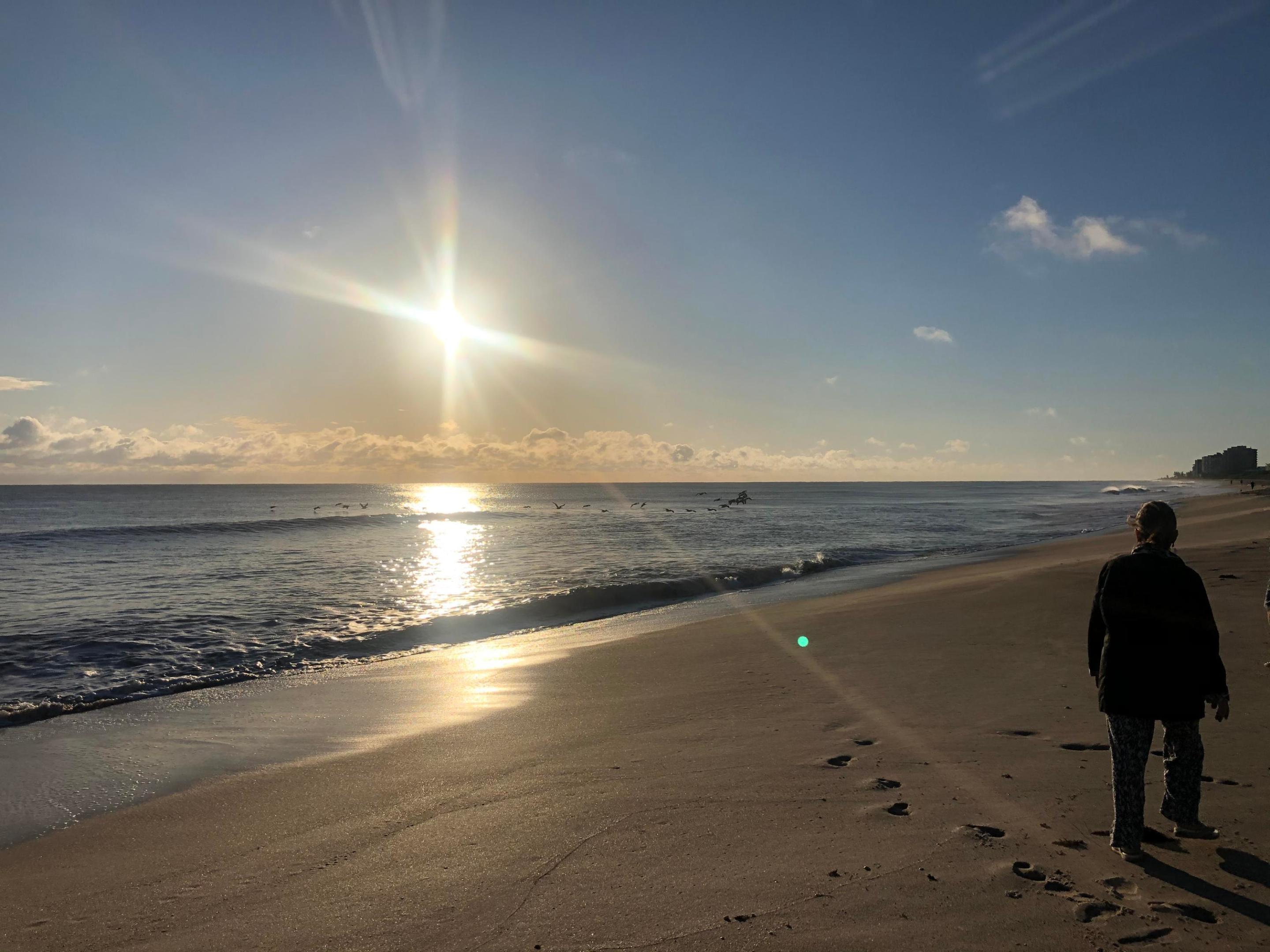 OCEAN HARBOUR CONDOMINIUM B - Residential Lease