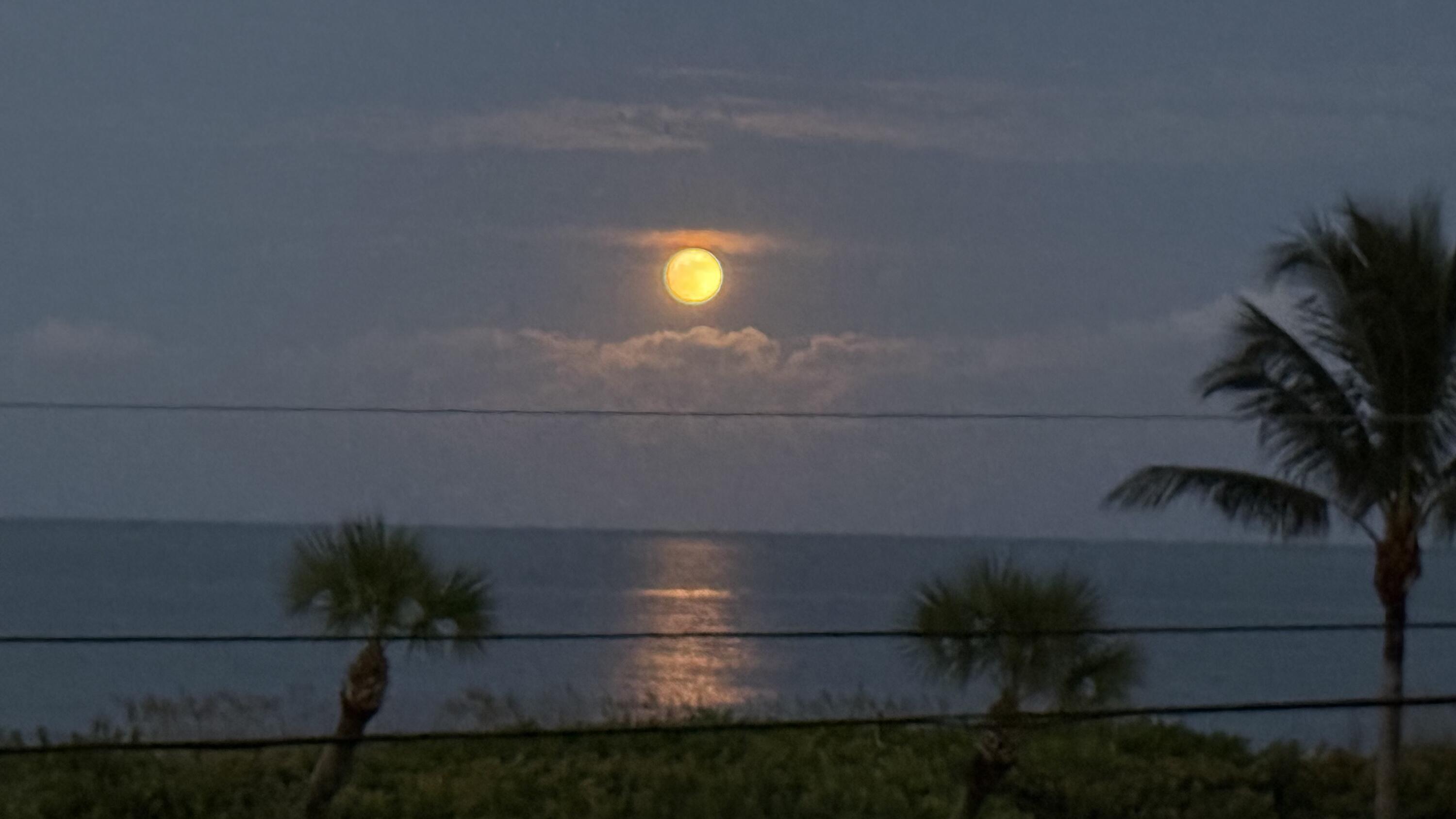 OCEAN HARBOUR CONDOMINIUM B - Residential Lease