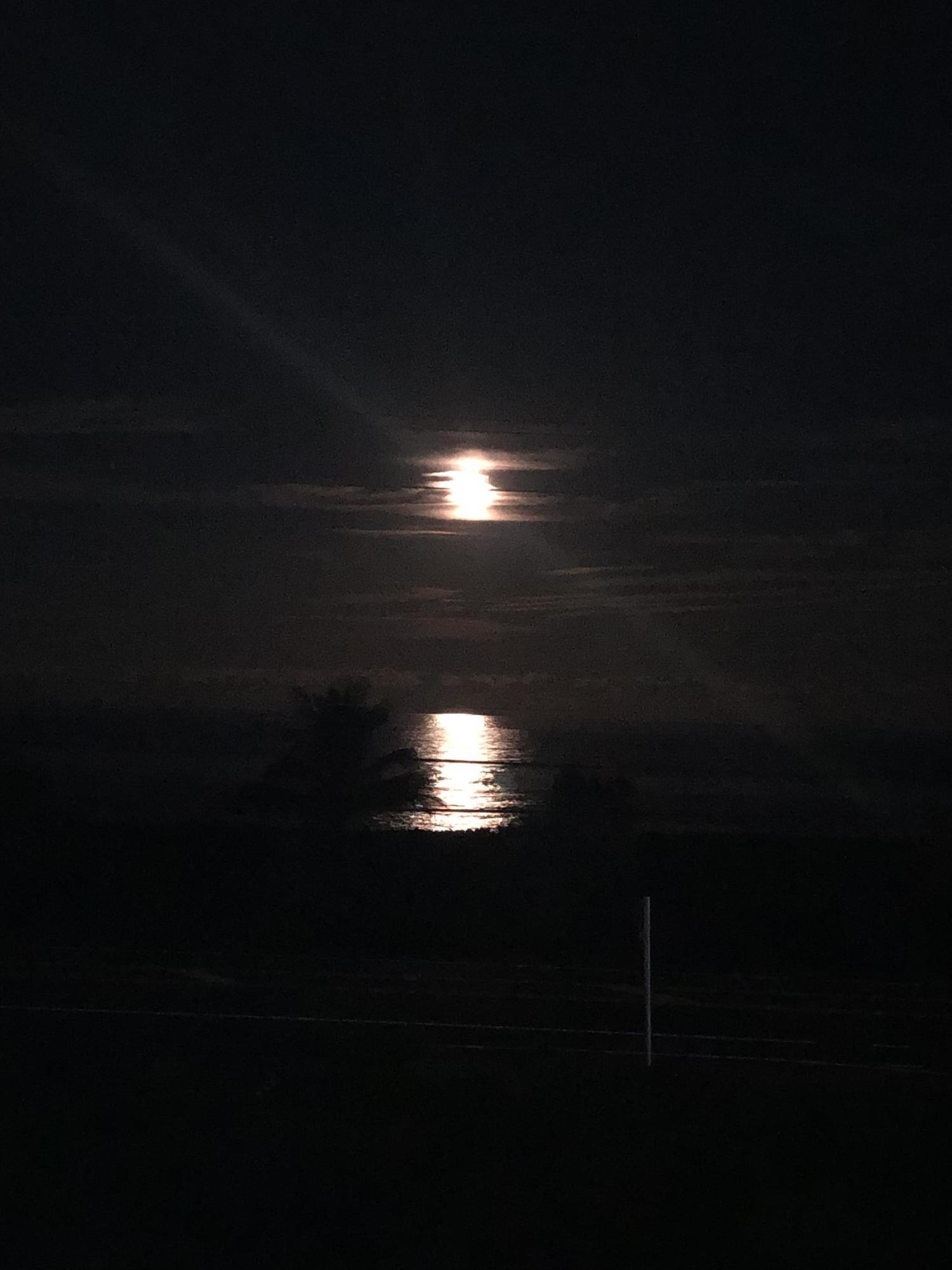 OCEAN HARBOUR CONDOMINIUM B - Residential Lease