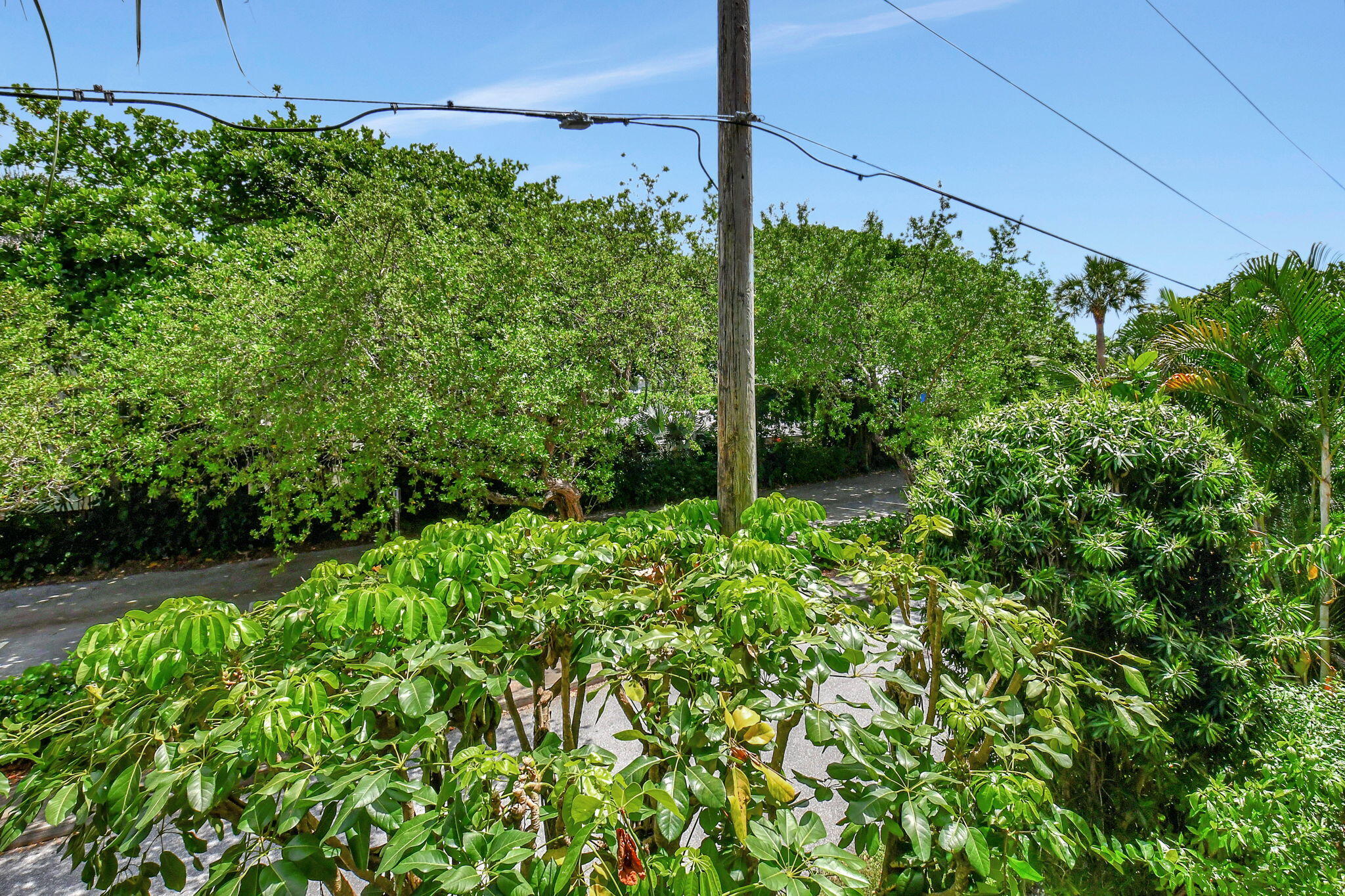 JARDIN DEL MAR CONDO - Residential