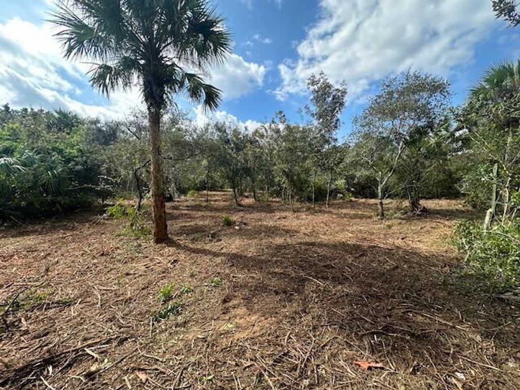 Photo of 0 Tbd, Fort Pierce, FL 34949 (MLS # R11136350)