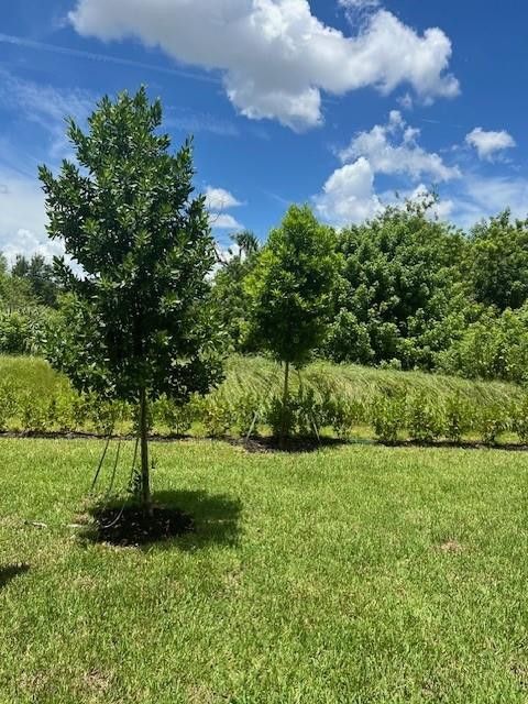 Tiny photo for 4393 Hammock Grove Drive #4393, Lake Worth, FL 33467 (MLS # F10550887)