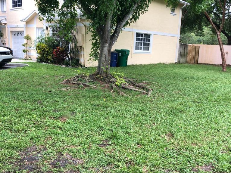 Flamingo Gardens Ph Five - Residential Lease