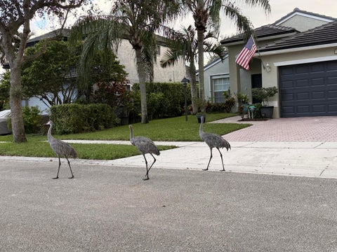 Tiny photo for 1384 NW 144th Avenue, Pembroke Pines, FL 33028 (MLS # B26090678)