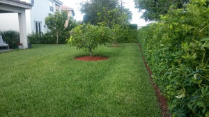 Black Diamond Ph 1 - Residential