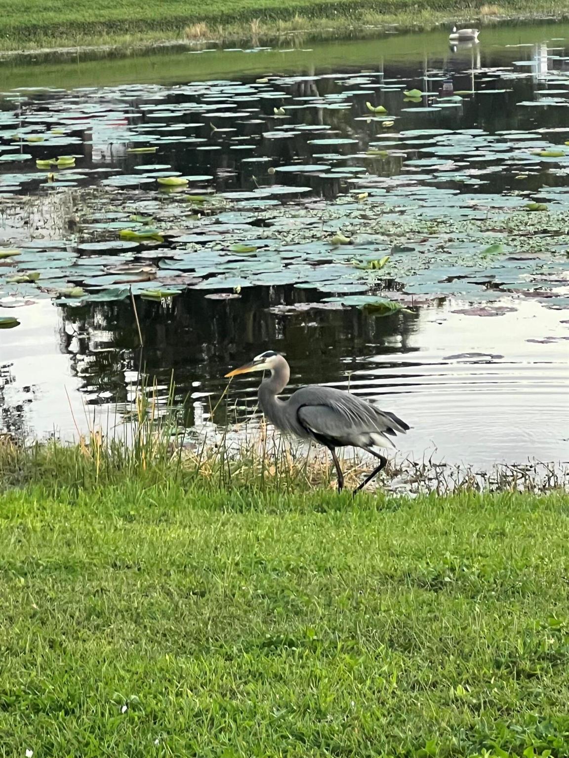 LAKEFIELD OF THE LANDINGS - Residential Lease