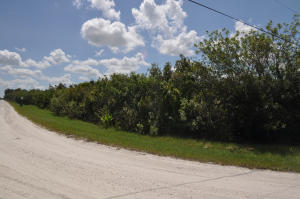 Rustic Ranches - Land