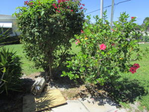 POINTE OVERLOOK CONDO - Residential