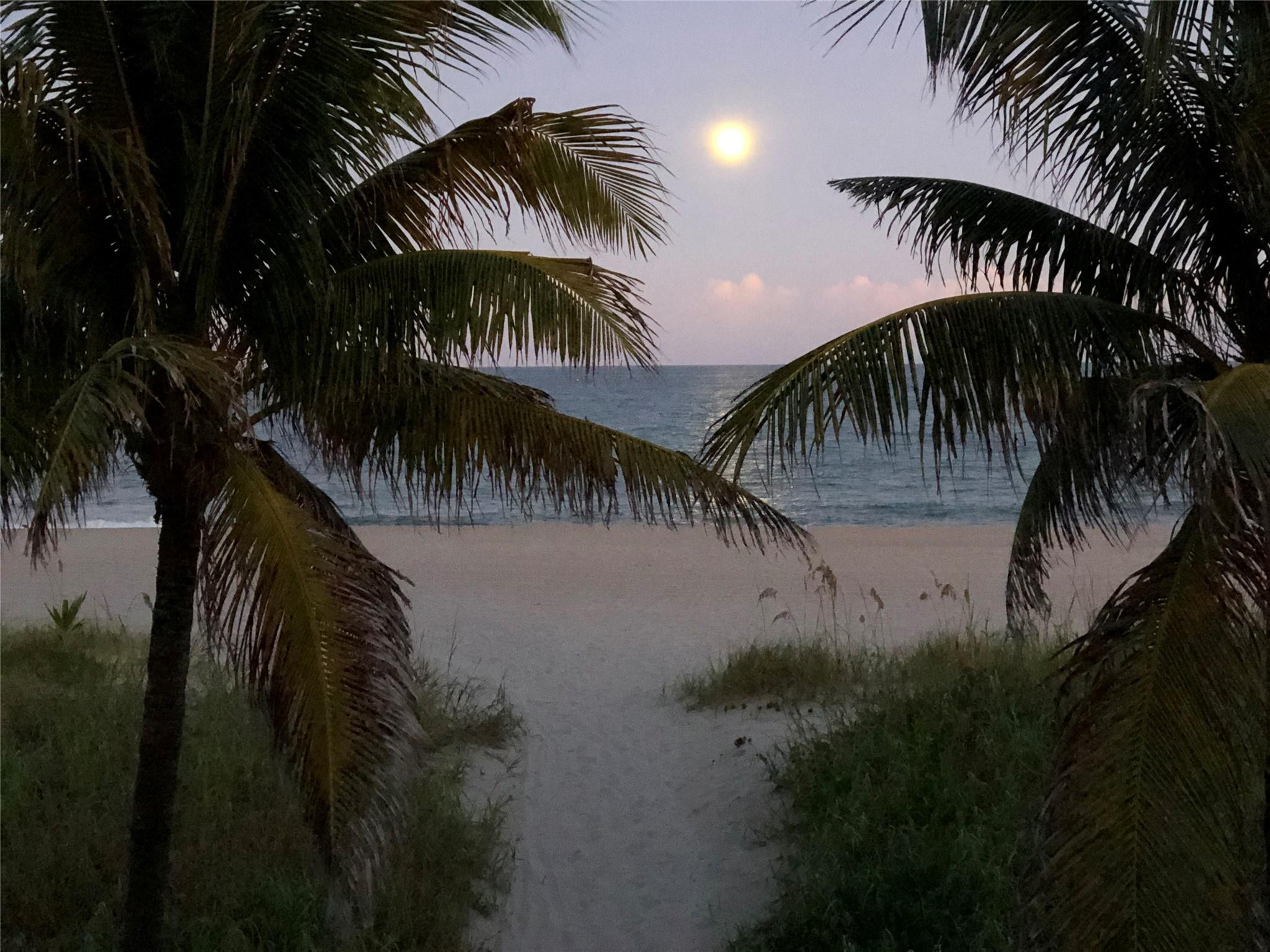 Ocean Colony - Residential