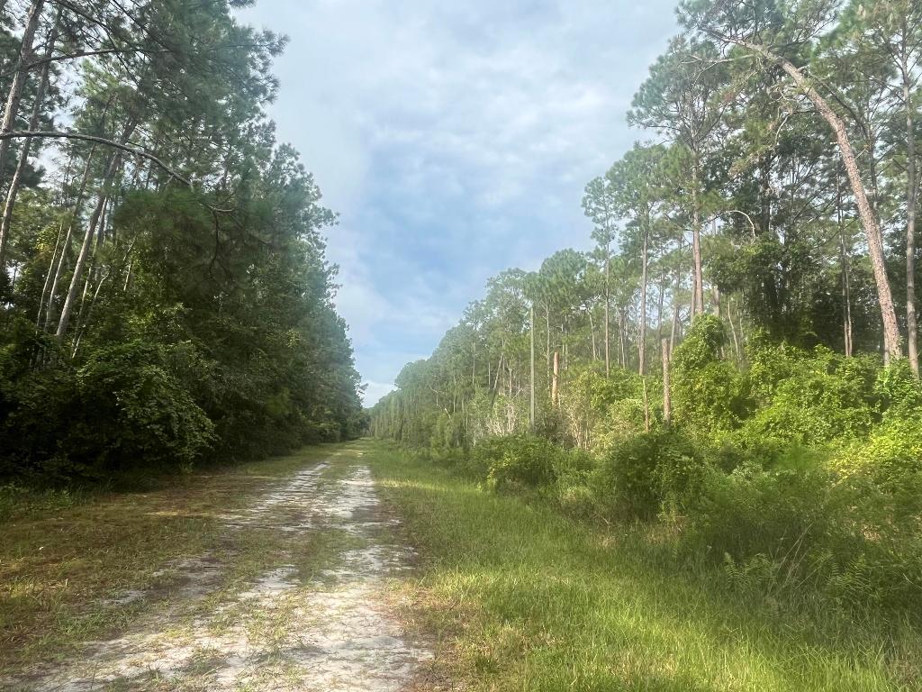 PARADISE LAKES SUB - Land