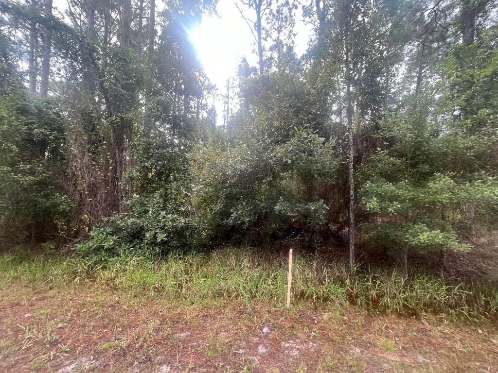 PARADISE LAKES SUB - Land