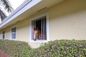 Palm Beach Point East - Residential