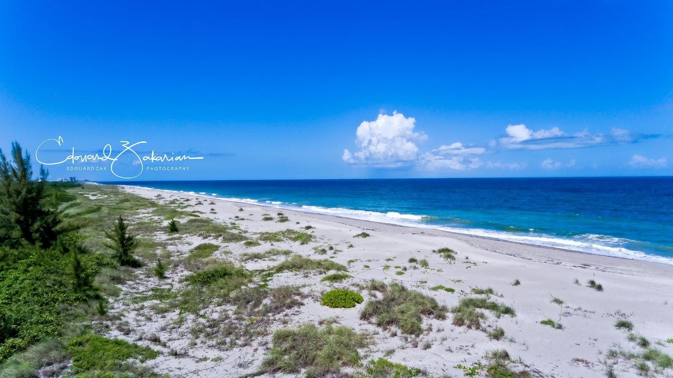 FLAGLER POINTE CONDO - Residential