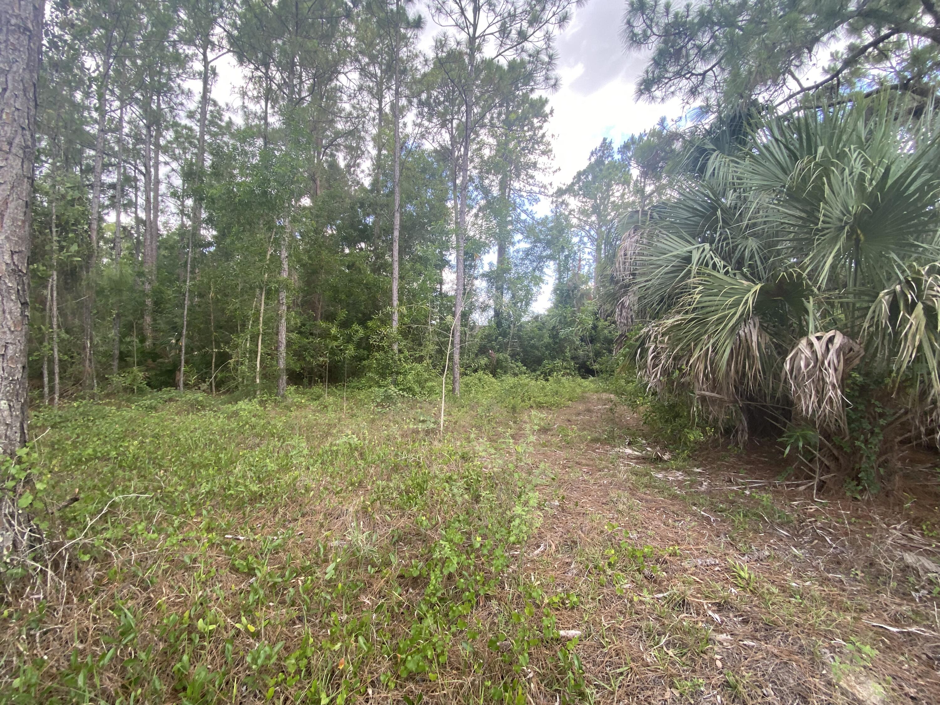 DONT MISS THIS OPPORTUNITY TO ACQUIRE THIS RESIDENTIAL LOT IN LEHIGH ACRES.TO BUILD YOUR NEW HOME OR HOLD FOR THE FUTURE CONVENIENT LOCATION, GREAT NEIGHBORHOOD, CONTINUOUSLY GROWING WITH NEWLY BUILT HOUSES NEARBY. NEAR SHOPPING, HOSPITALS SCHOOLS, AND RESTAURANTS. LEE COUNTY OFFERS PLENTY OF OUTDOOR ACTIVITIES. QUICK DRIVE TO BROWARD COUNTY & MIAMI, ONLY MINUTES TO FORT MYERS BEACHES AND A SHORT DRIVE TO BEAUTIFUL NAPLES.BUILD NOW OR INVEST FOR THE FUTURE!