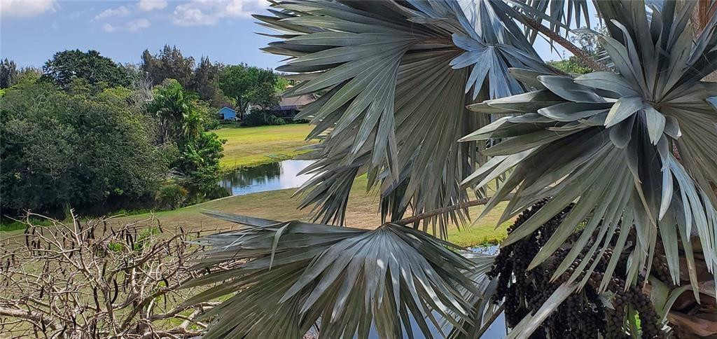 BAFFY WOODS CONDO - Residential