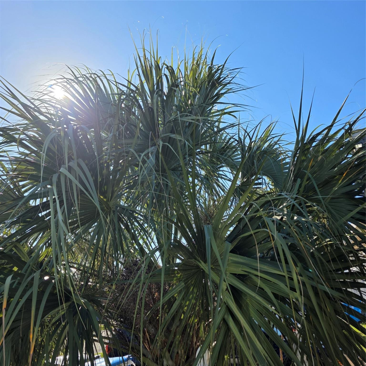 Lynn Park Rep 62-22 B - Residential