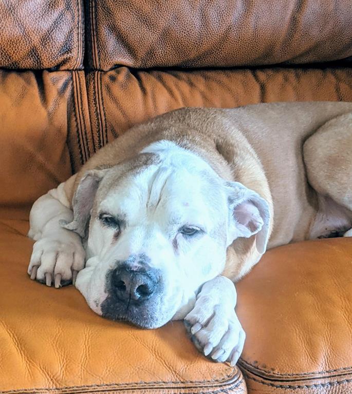 EMERALD FOREST OF WELLINGTON 3 - Residential